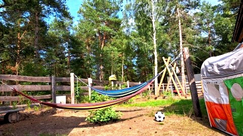 Lesne Runo Borsk