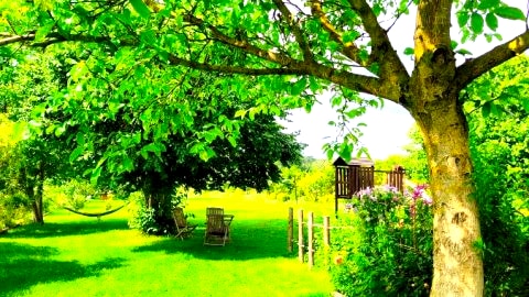Agroturystyka "Dobre czasy"