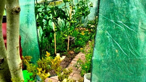 Agroturystyka "Dobre czasy"