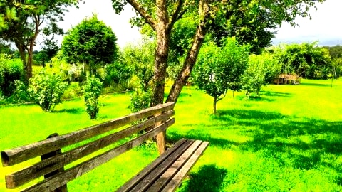 Agroturystyka "Dobre czasy"