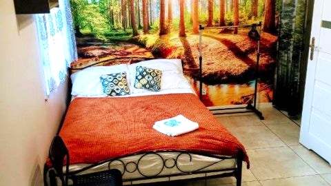 Apartamenty w Puszczy