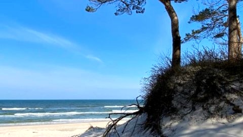 SURF APARTAMENT I