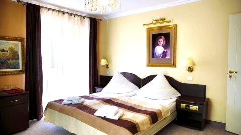 Willa Alexander Resort & SPA - caloroczny kryty BASEN