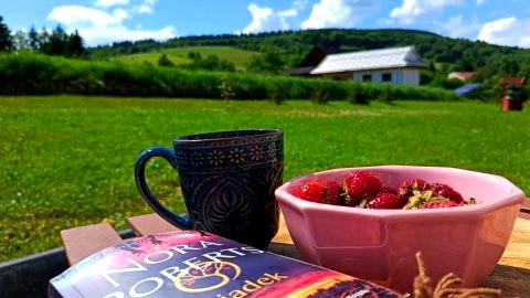Pokoje goscinne u Olguni