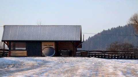 WróbLove Wzgórze