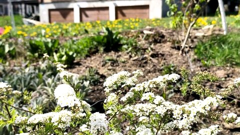 Przestronne apartamenty w Wysowej-Zdroju idealne dla rodzin