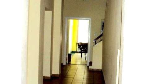 Pod starymi lipami