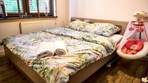 Apartament 12