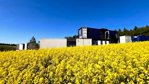 Arche Siedlisko Hopkie