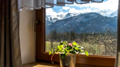 Apartament U Gosi