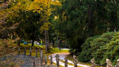 Apartamenty Silva Szklarska Poręba