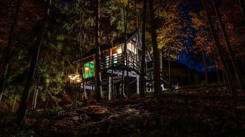 Na Skraju Lasu Domek na Drzewie & Glamping