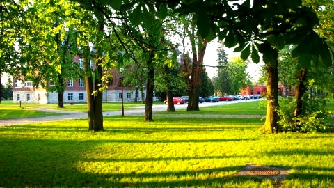Hotel Willa Park