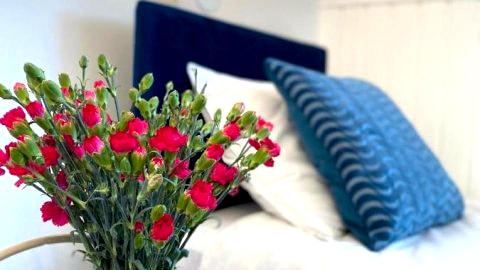 Apartamenty Plac Moniuszki 11 City Center