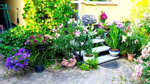 Słoneczne apartamenty