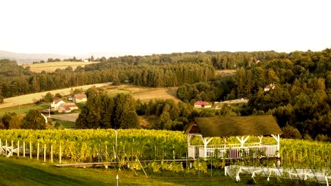 Sztukówka Winery