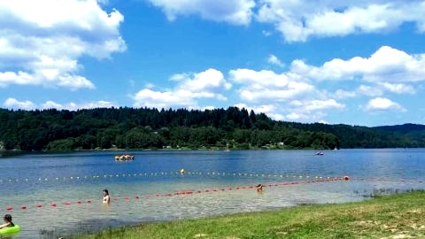 Motylowe Wzgórze Zawóz Bieszczady