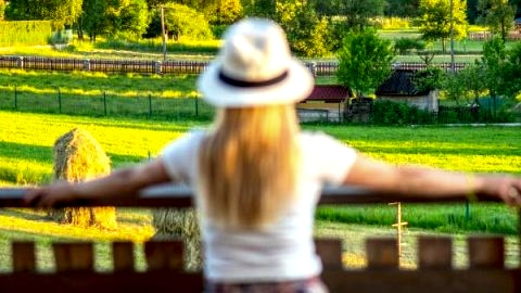 Pocztówka Z Mizernej, Drewniane domki z sielskim klimatem, Pieniny, Gorce, Jezioro Czorsztyńskie