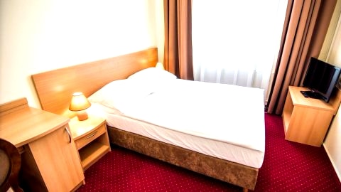 Hotel Piast