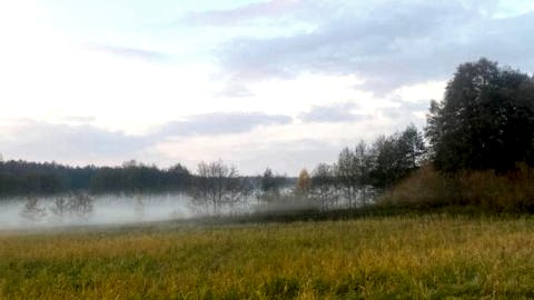 Osada pod Lipą