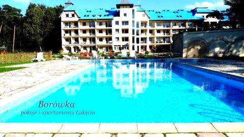 Borówka w Blue Mare