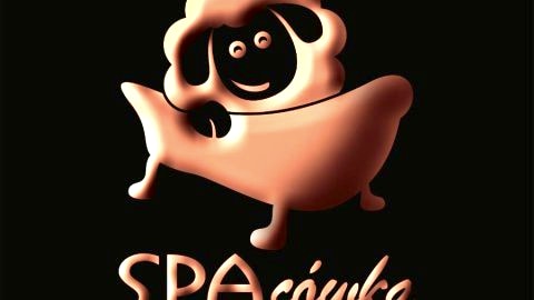 SPAcówka - mini SPA w Beskidach