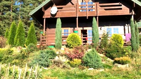 Dom Na Wzgórzu 479, The House on the hill