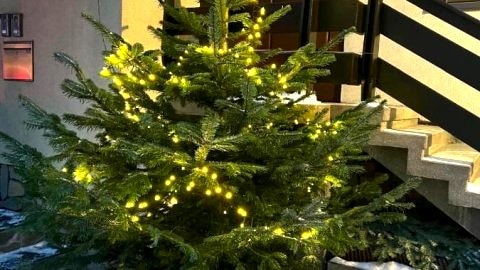 Apartament na 102 - z widokiem na skocznię narciarską, serwis i wypożyczalnia nart na miejscu -20procent dla gości