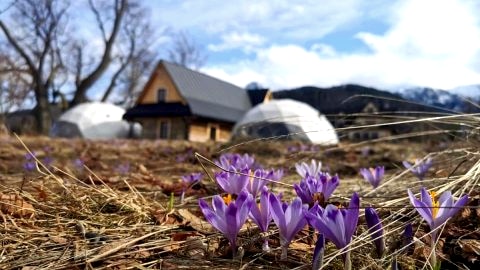 Glamp Siedlisko Kościelisko