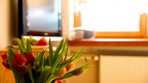 Apartament Halo Wisła