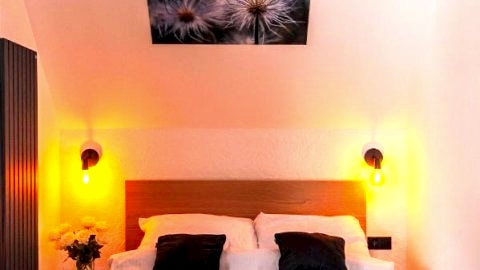Apartament Z widokiem na las