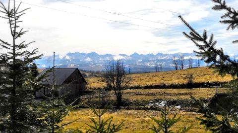 Apartamenty u Krystyny