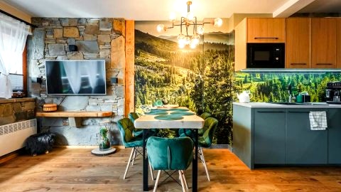 Apartament Skała