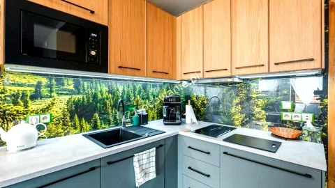 Apartament Skała
