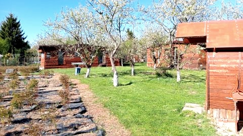 Domki, Pokoje,,Kemping,Namiot -  u - Justyny