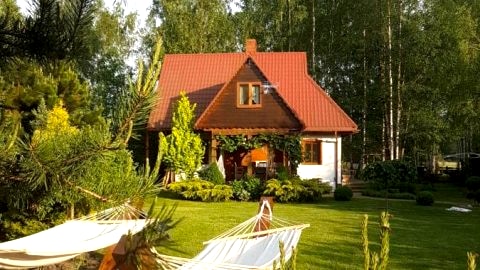 Siedlisko Gruszki Puszcza Białowieska