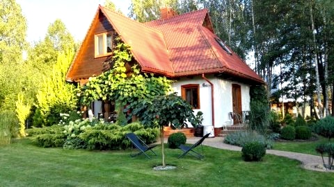 Siedlisko Gruszki Puszcza Białowieska