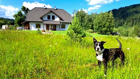 CHATA NA KOŃCU ŚWIATA