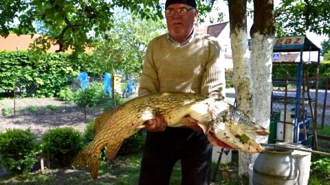 Panterej Pokoje Gościnne