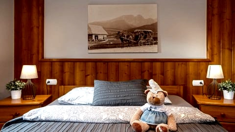 Apartamenty u Giewonta 