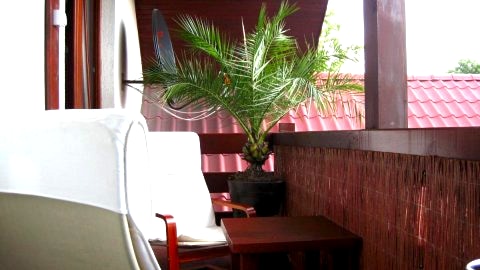 Pokoje Gościnne Pod Palmami