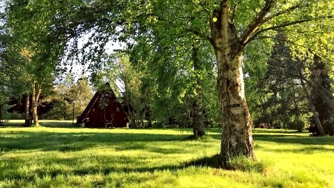 Domki nad morzem "CELLO"