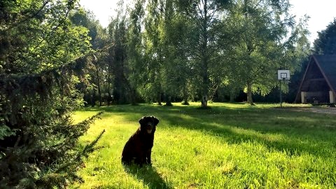 Domki nad morzem "CELLO"