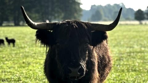 Farma Puchałowo