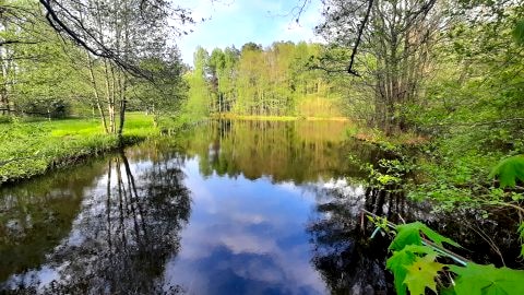 Mazury pokoje domki nad samym jeziorem - własna plaża - śniadania - łódki kajaki