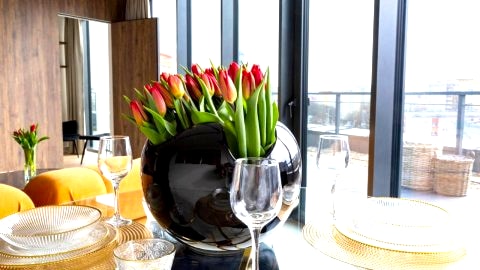 Kaleo apartments - Hanza Tower 605