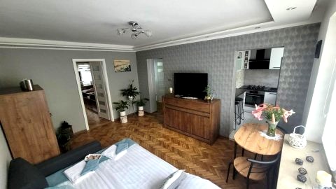 Apartament Park Saski