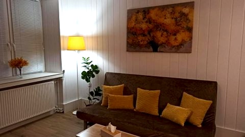 Słoneczny apartament z prywatną sauną w Stroniu Śląskim
