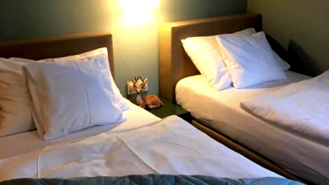 Decor Park Apartament