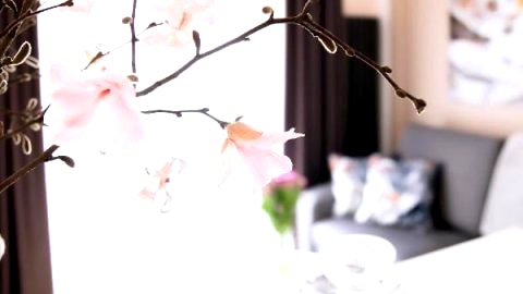 Apartament Bimba & Free Parking